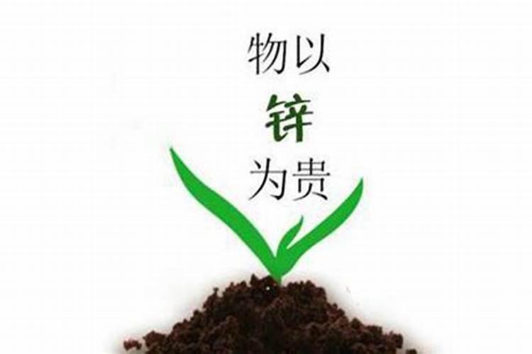 锌肥施用：农作物营养平衡的关键