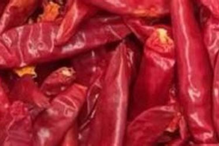 三樱椒是先育苗再移栽,应该如何培育出强壮的三樱椒苗？