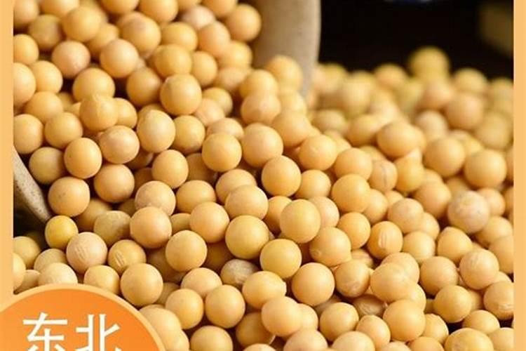提升大豆产量的关键：种植技巧与施肥方法？