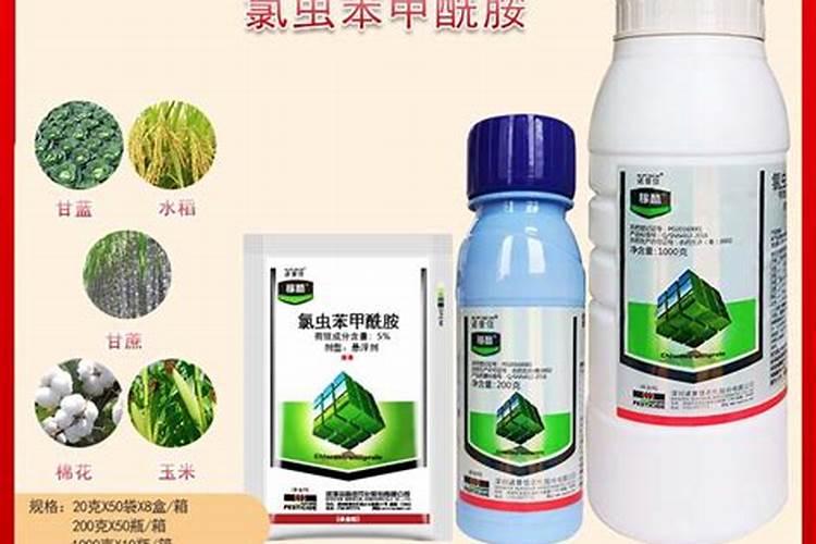 小菜蛾防治的有效农药选择