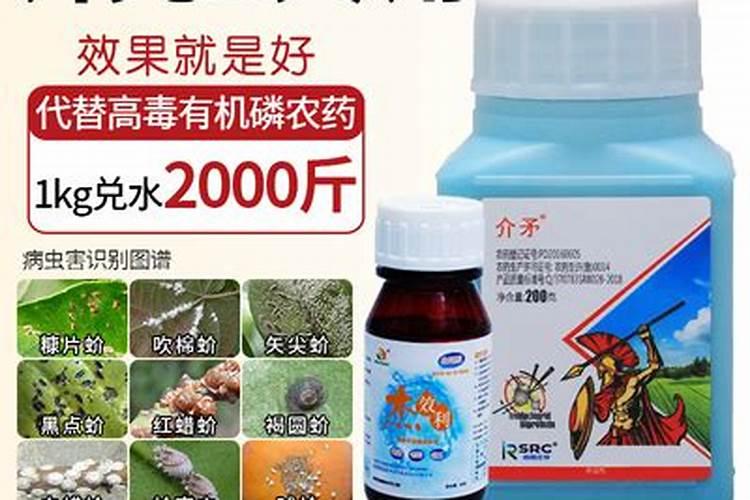 战胜园艺小敌：有效治理介壳虫的药剂选择