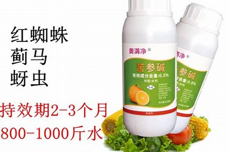 柑橘守护者：对抗红蜘蛛的战略农药选择