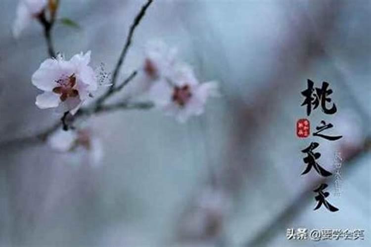 桃之夭夭：膨大剂下的甜蜜与思考