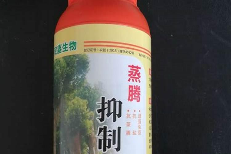 小麦喷施蒸腾抑制剂可以防止风害吗？