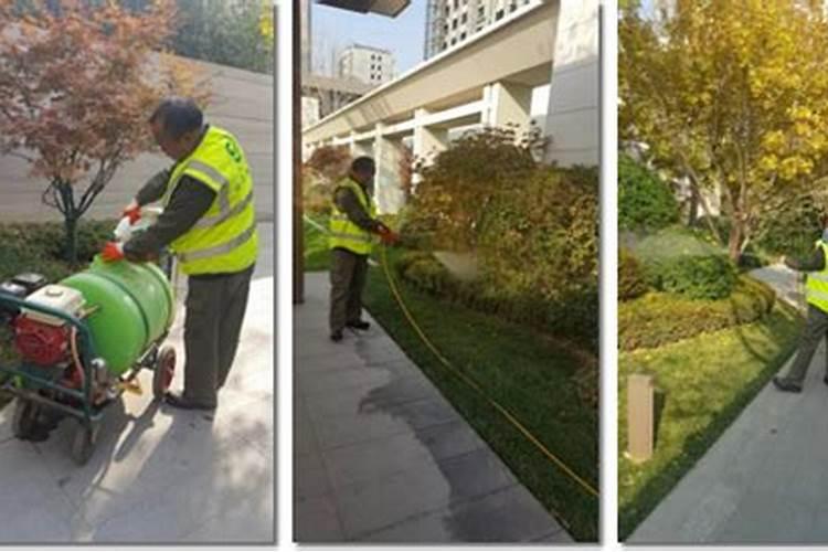 植物防冻剂如何使用，植物防冻剂使用条件？