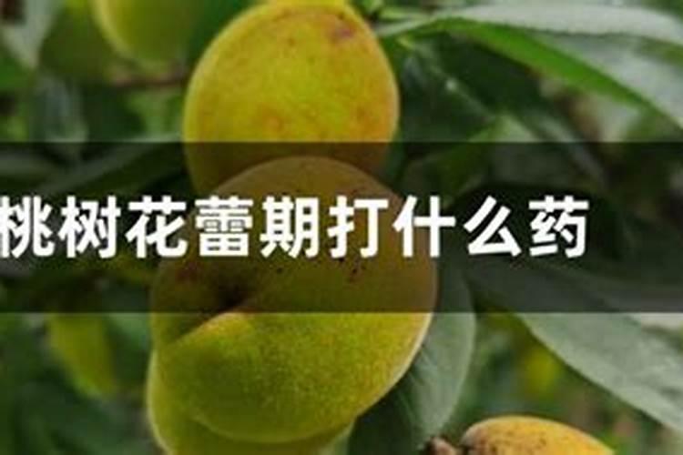 桃树花叶病打什么药？