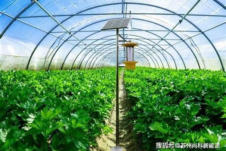 什么是温室大棚绿色防控技术？如何绿色防控病虫害？