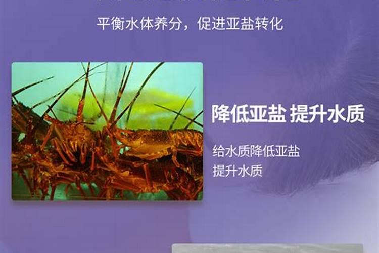 腐植酸钠在水产中的用途
