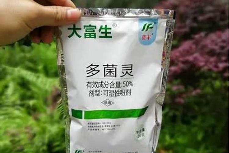 多菌灵喷多了烧叶子吗