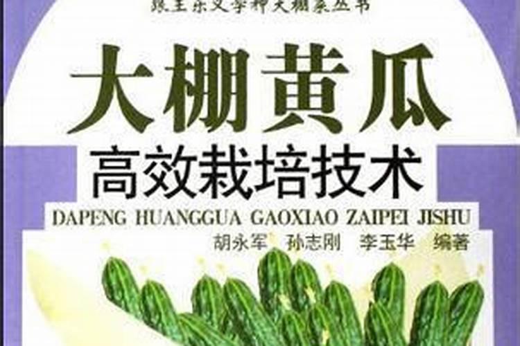 大棚黄瓜高效种植技术揭秘