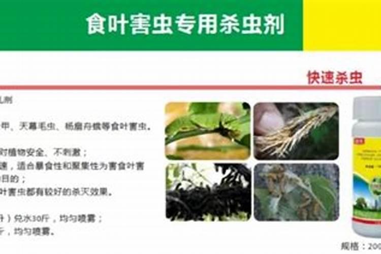 绿色守护：高效防治草地螟的农药选择