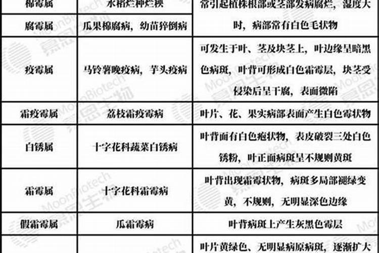 细菌性病害,真菌性病害的区别是什么？