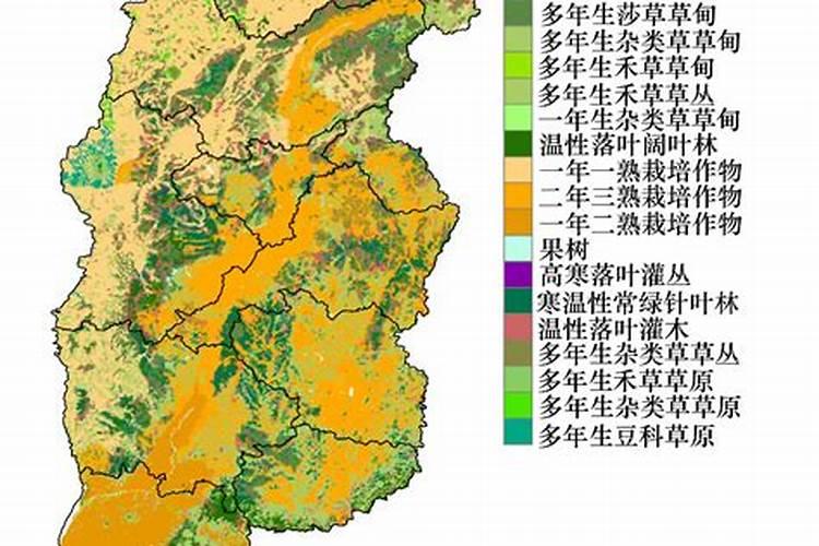 山西药材种植指南：气候地貌与适宜品种解析