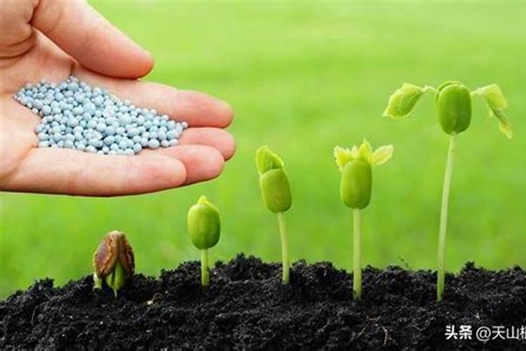 种植农作物时,有机肥施肥过量会带来哪些害处？
