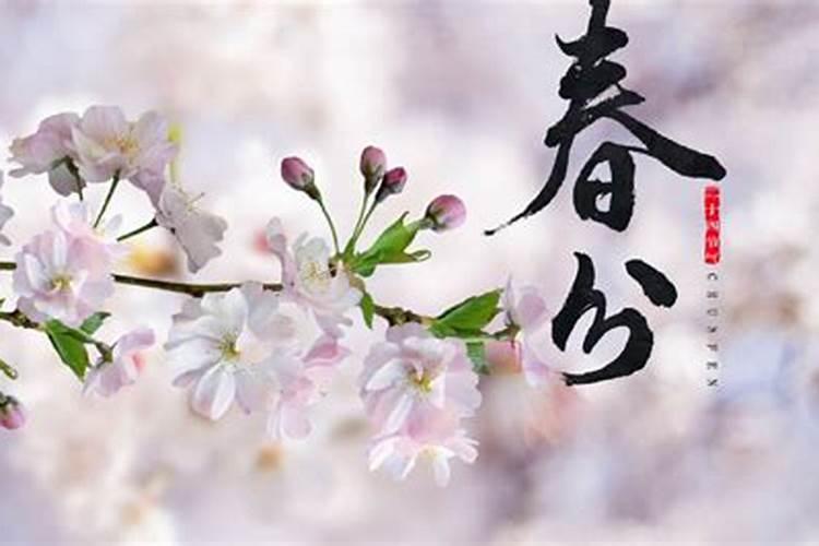 春分节气的农事活动及养生原则