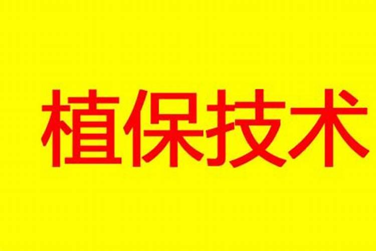 板栗串皮虫该如何应对？具体措施有哪些？