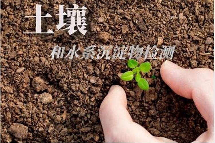 如何简易识别肥料优劣