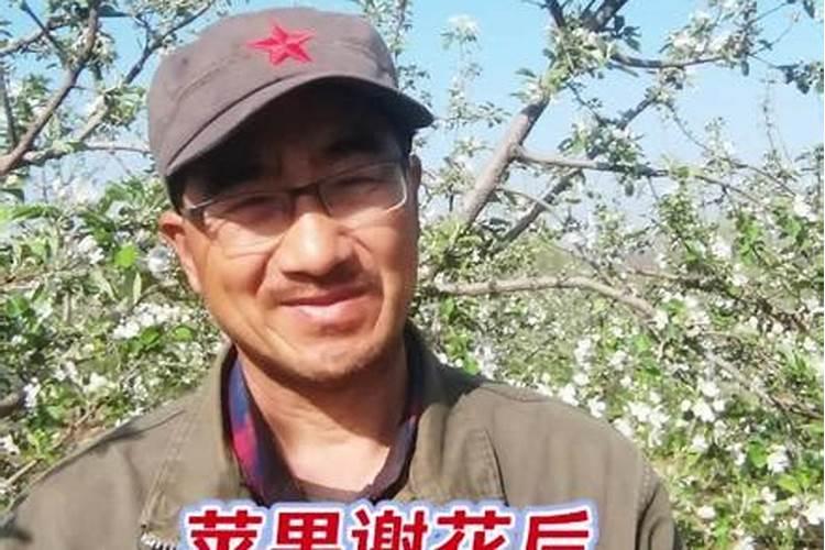 守护果实的启航：苹果谢花后的首次药剂护航