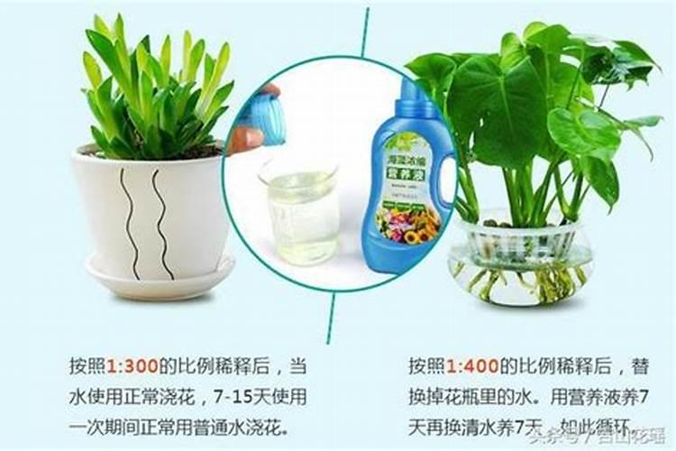 怎样配制营养液？