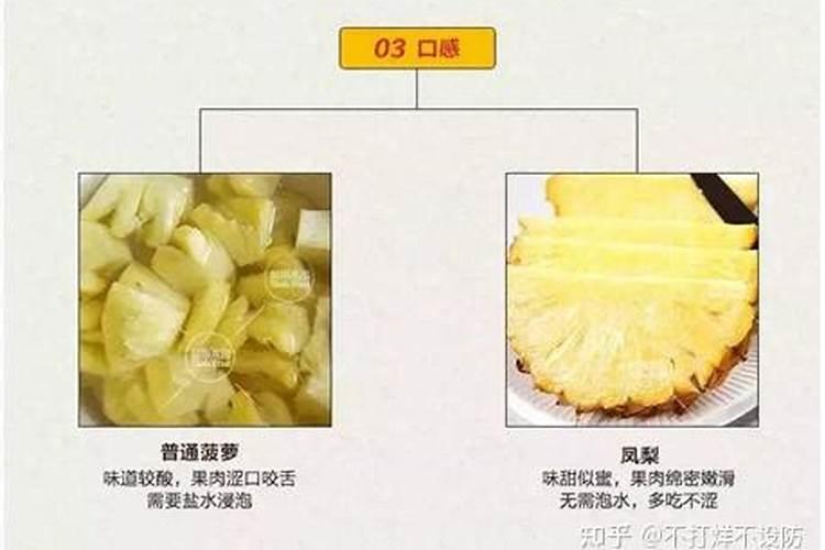 有多少种昆虫是凤梨的食客？