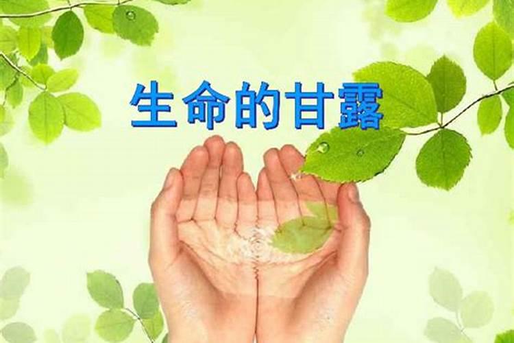呵护生命的甘露——不要丢弃注意浇水