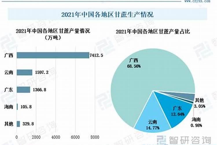 秋冬甘蔗季管理新意见：提升产量与品质的关键策略