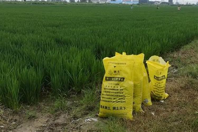 稻田什么时候放锌肥最好？