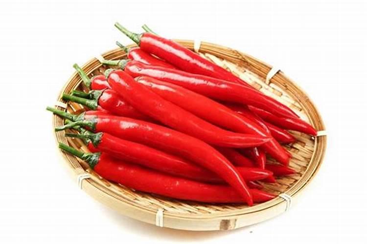 绿野仙踪：战胜香菜温室白粉虱的策略与实践