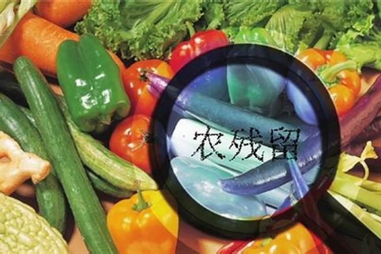 一提到蔬菜,就不得不说"农残".蔬菜中农药残留的问题由来已久,哪些蔬菜。