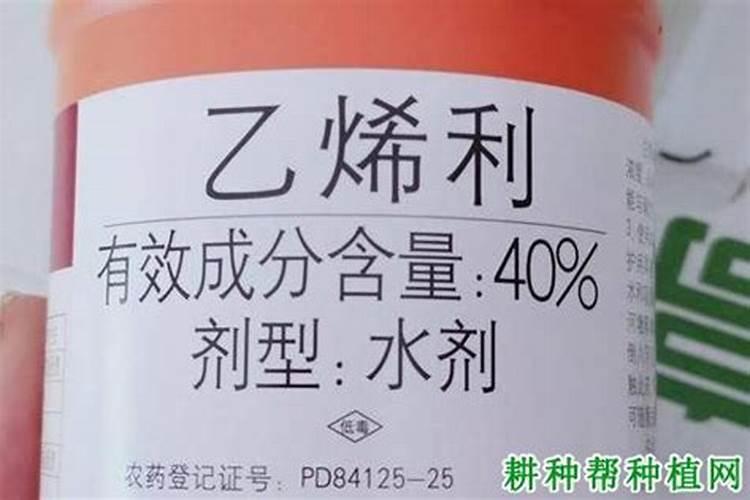 乙烯利打了为什么不落叶是什么原因？