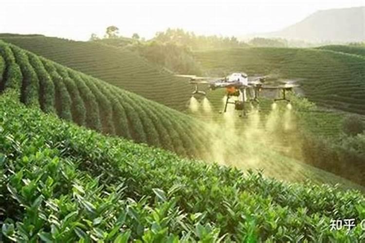 绿色守卫：探索生物农药的益处与使用智慧