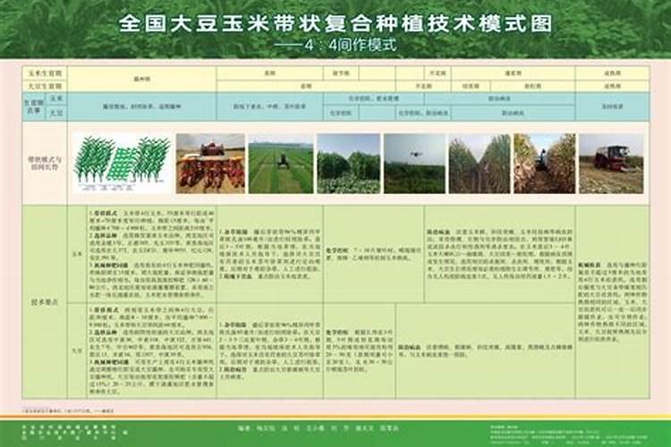 大豆日间管理技术
