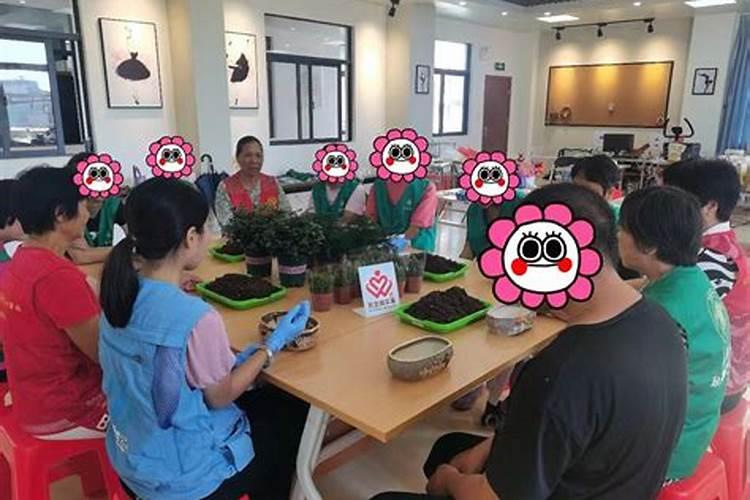 绿色疗愈：应对梨树药害的智慧之举