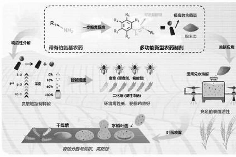 田间的智慧：探究农药剂型的施用方法及其差异？