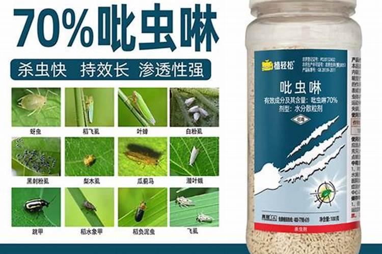 最好的防治蓟马特效药有哪些