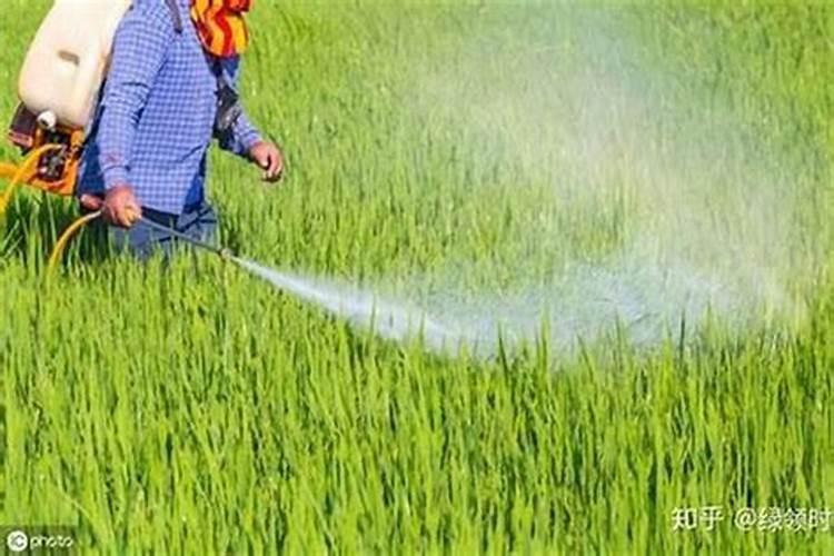 农业新视角：经济高效复配混用农药的策略与实践