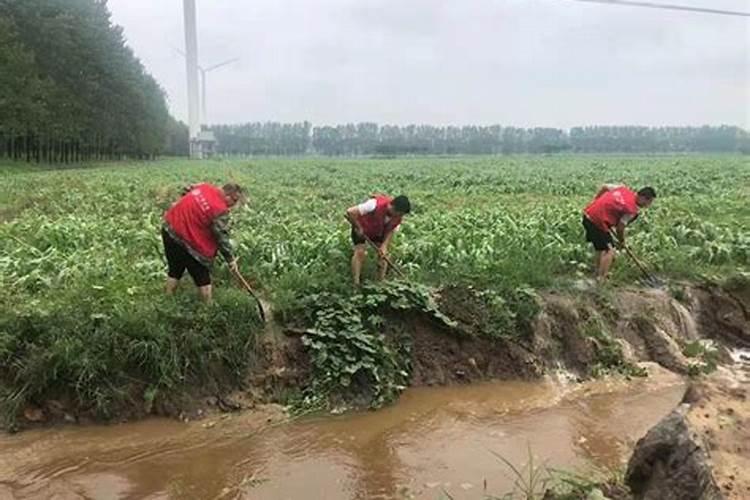 农户该如何应对作物灾后问题？