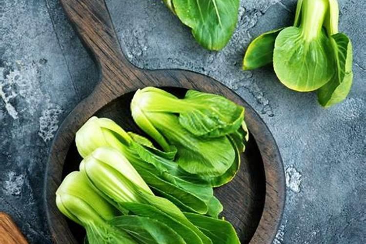 大白菜种植需防治哪些病害？