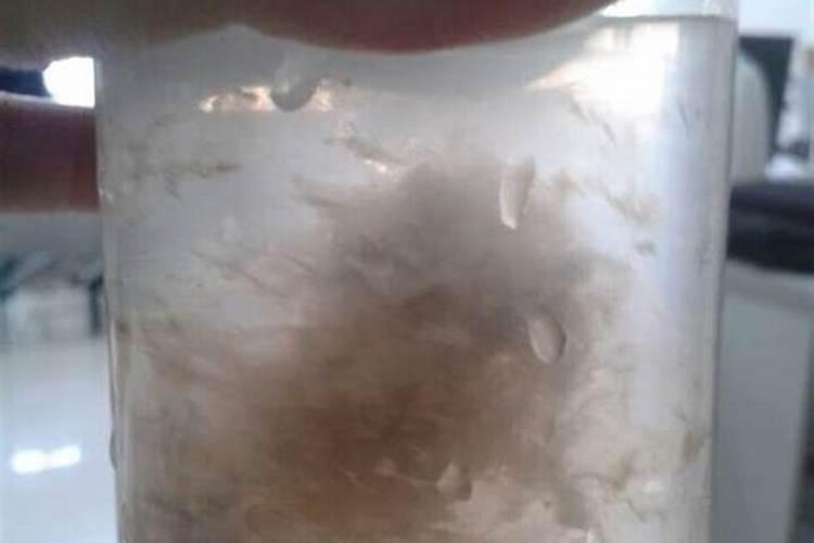 金针菇基部长满絮状物但不倒伏，什么原因？