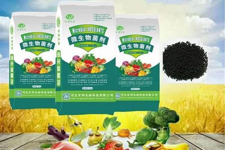 菌肥的正确使用方法