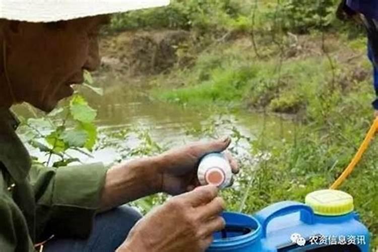 田野守护者：揭秘谷子地除草的农药世界