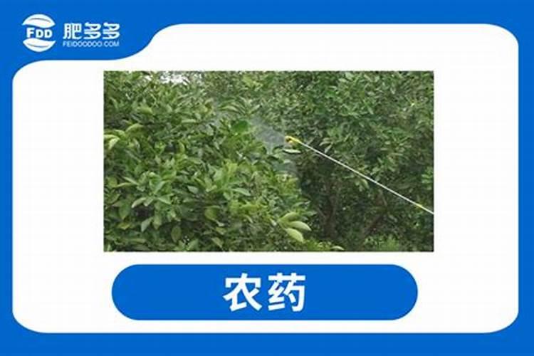 冬季农家存放农药,有哪些要注意的？