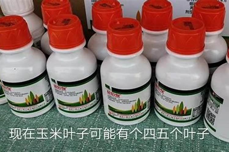 除草剂和杀虫药可以一起打吗？