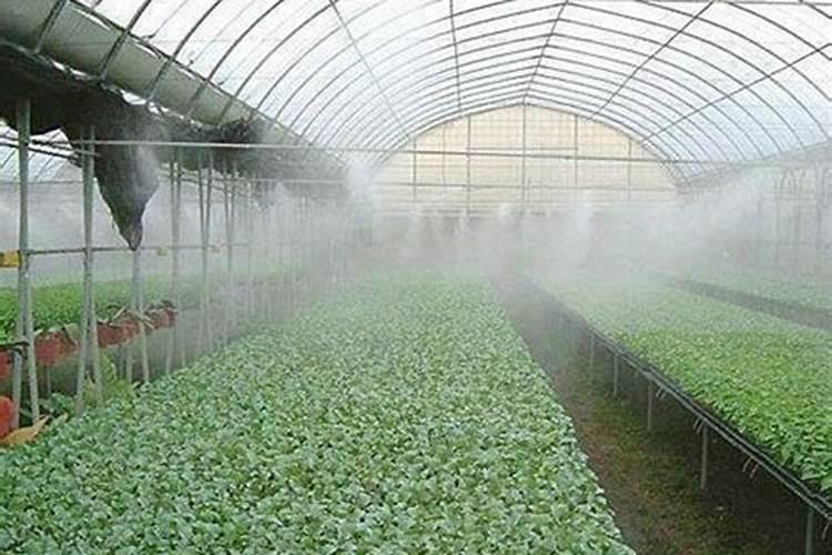 温室大棚浇灌系统是怎么进行工作的？