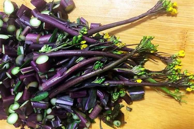 红菜苔可以施硼肥吗怎么施？
