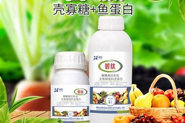 水稻喷施鱼蛋白肥的好处有哪些？