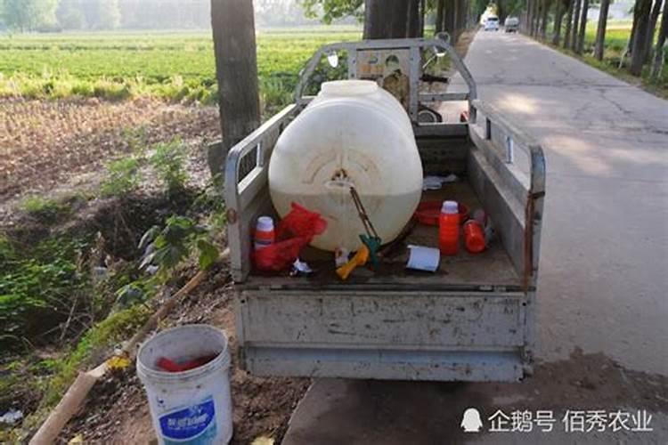 农药混配方法技巧大全：掌握这些，事半功倍？