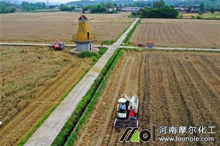 水溶肥多久用一次