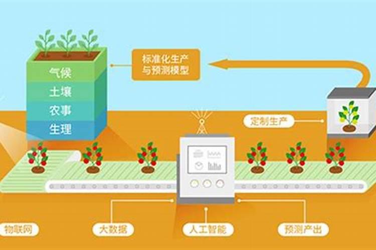 中药材益智的栽培技术：传统智慧与现代农业的融合