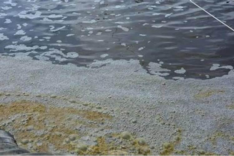 水溶肥化水出现大量泡沫是怎么回事